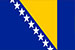 Bosna in Hercegovina Carinske kode