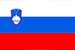 Slovenija Carinske kode